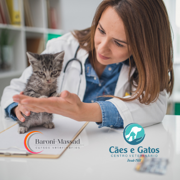 Workshop Baroni-Massad: A Imagem na Rotina Clínica